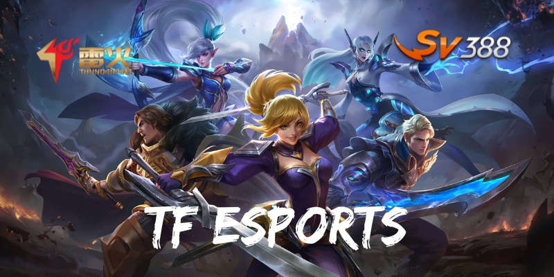 Tổng quan về TF Esports thân thiện với người dùng