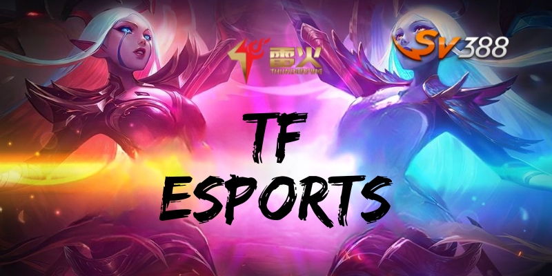 Trải nghiệm thế giới Esports đỉnh cao tại TF Esports